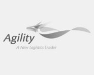 Agility Banner Logo